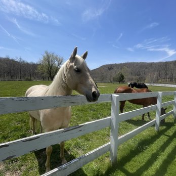 Horse Farms Bedminster, NJ Somerset Co.