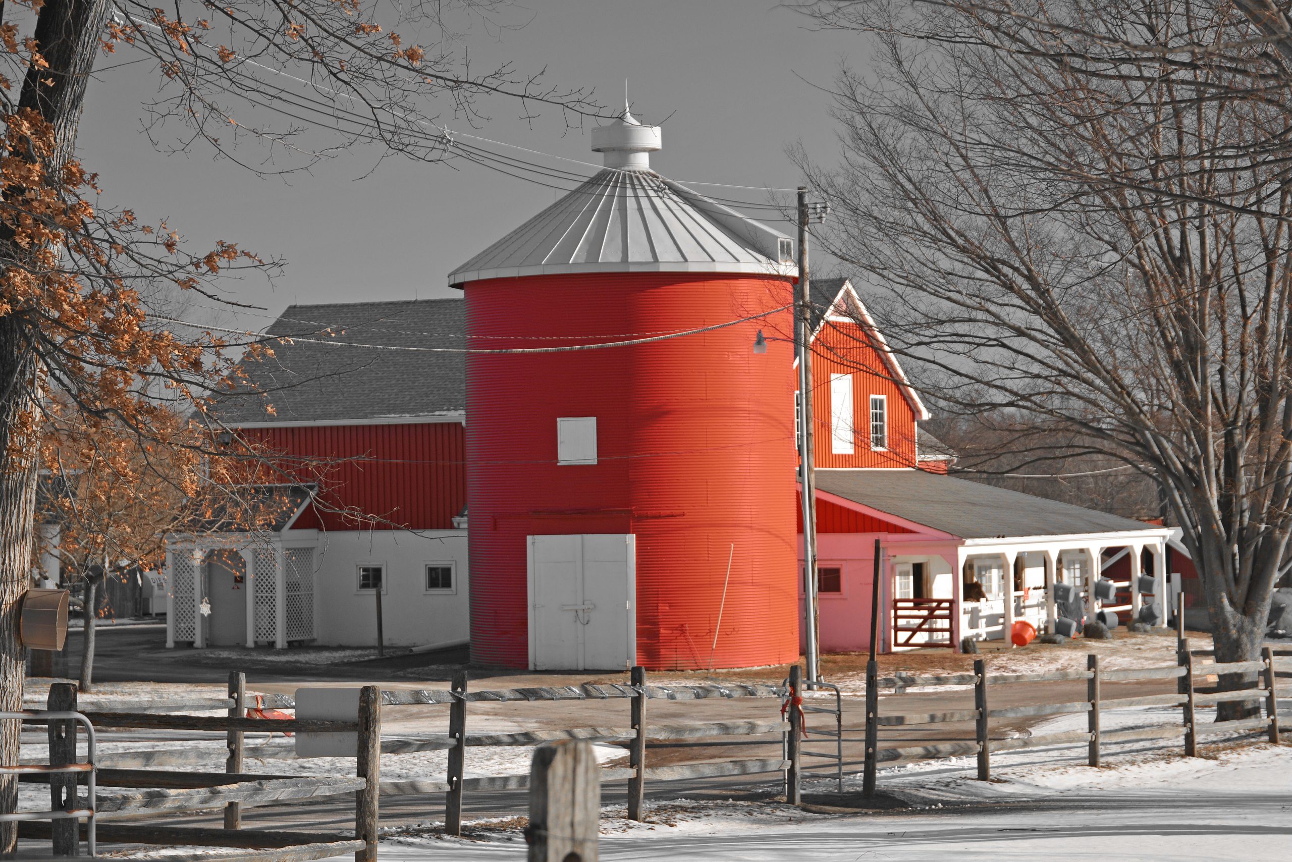 Lord Stirling Stable HR