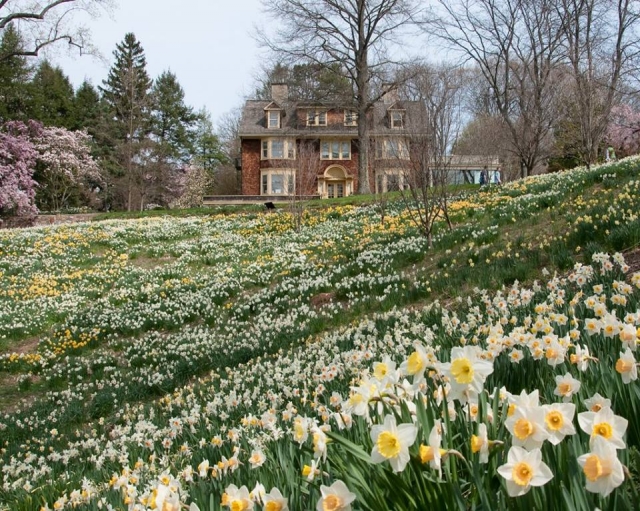 Reeves-Reed Arboretum Summit, NJ Union Co.